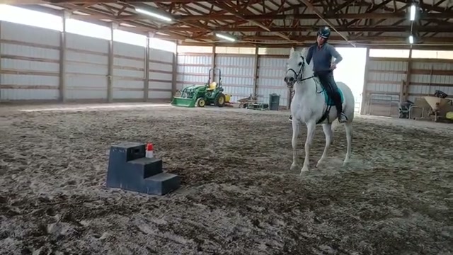Zoe extended trot