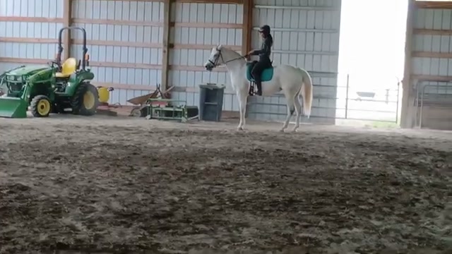 Zoe jumping