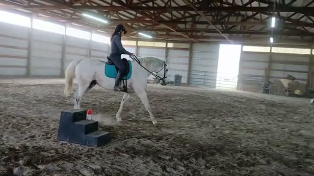 Zoe in motion