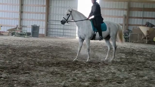 Zoe trail riding